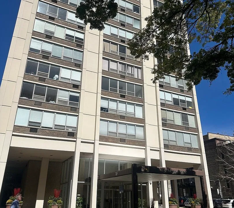 70 W Burton Pl #3102