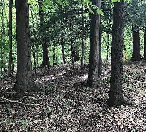 5th image of 3594 Timothy Ln
