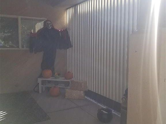 4th image of 4229 Buteo Ln