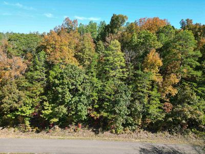 2 Cherry Chapel Loop, Savannah, TN, 38372