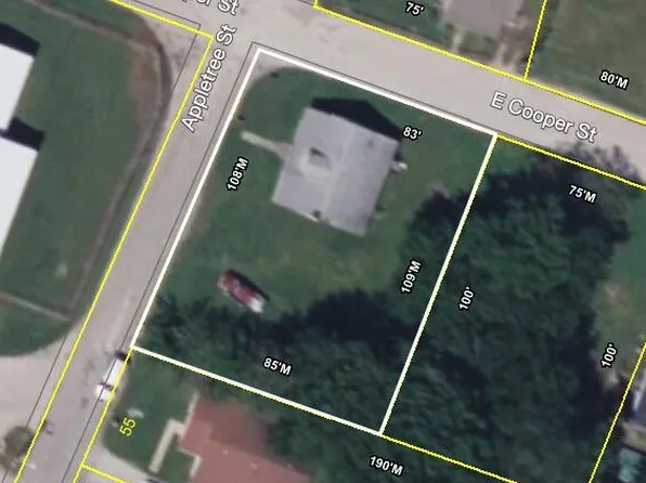222 Appletree St, Mount Pleasant, TN 38474