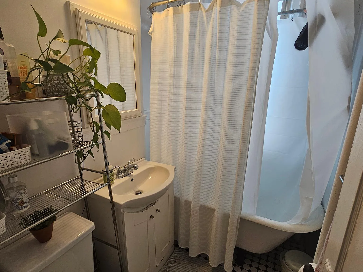 1 bed, 550 sqft, $2,500 — Photo 4