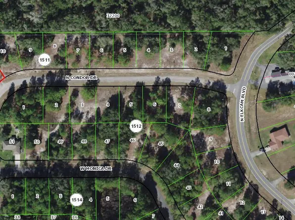 11960 N Condor Drive, Citrus Springs, FL 34433