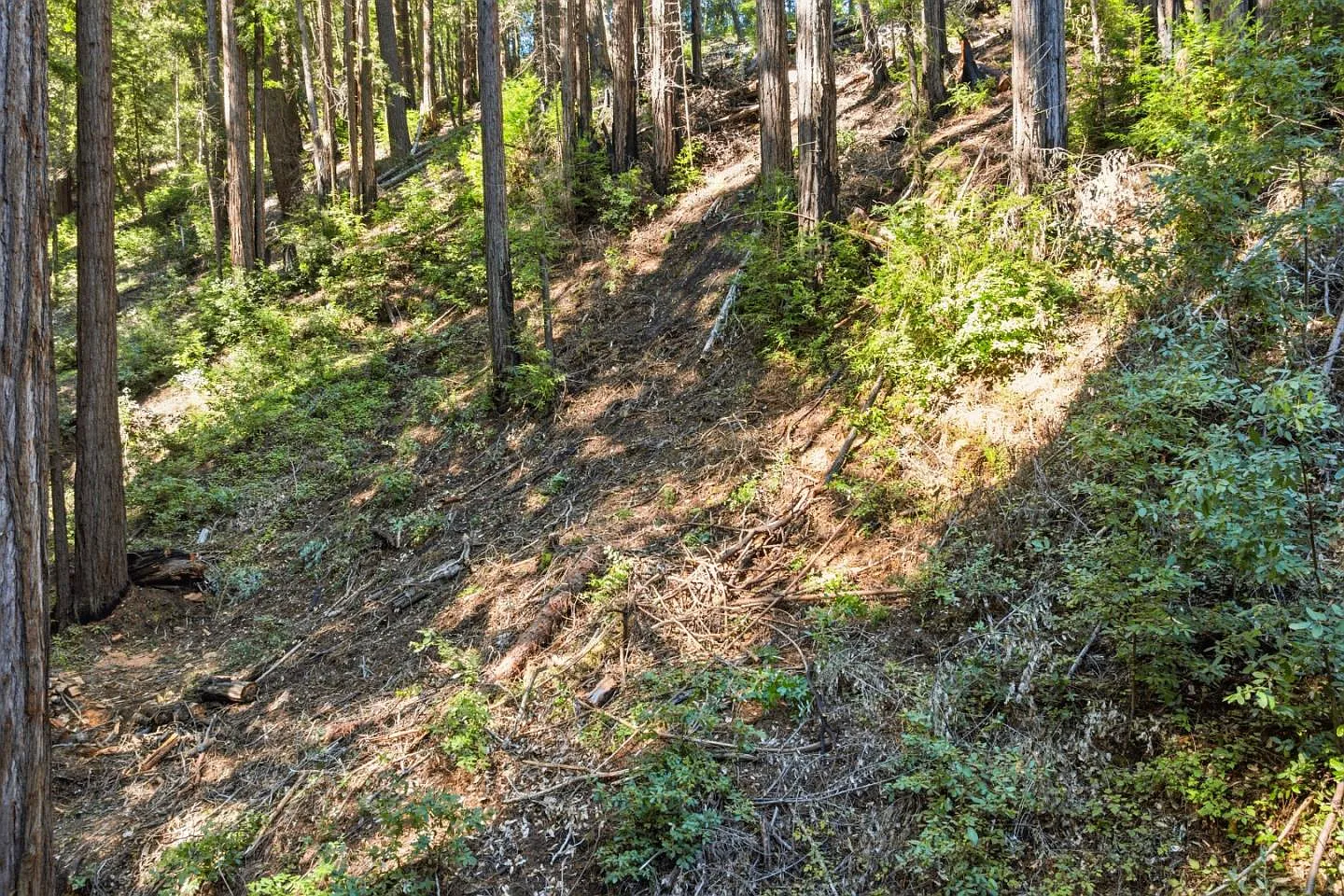 0 Forest Way photo 1