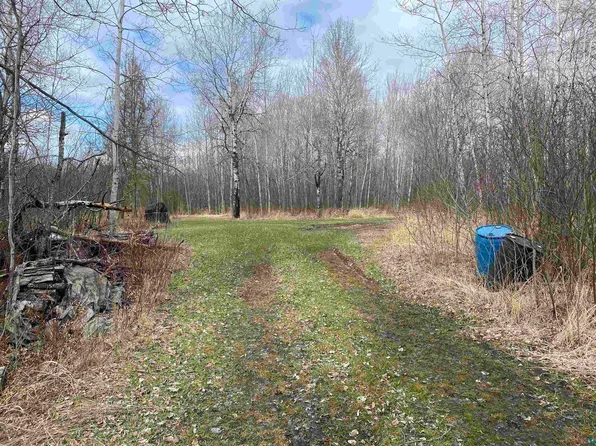 xxxx Mink Rd, Cotton, MN 55724