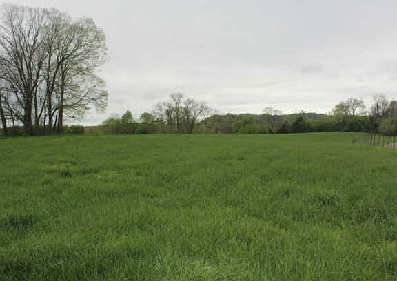 2nd image of 3 Herod Ln Lot 3
