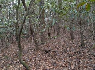 0 Morgan Creek Ct #15, Saluda, NC 28773