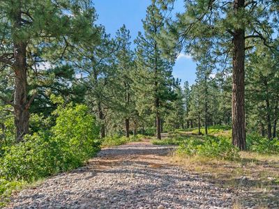 1102 Sheep Springs Road, Durango, CO, 81301