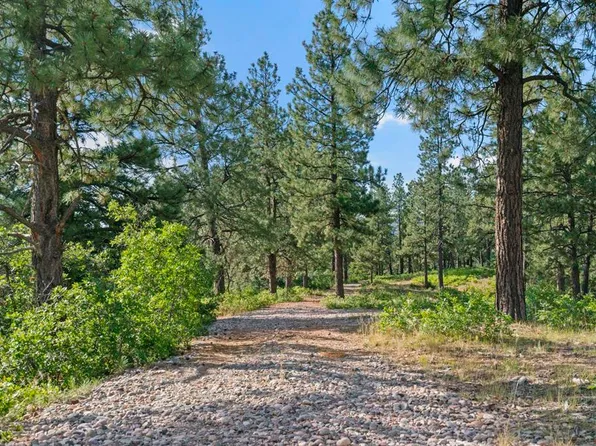 1102 Sheep Springs Road, Durango, CO 81301