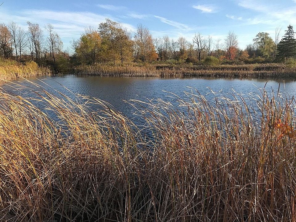 Stocked spring-fed pond