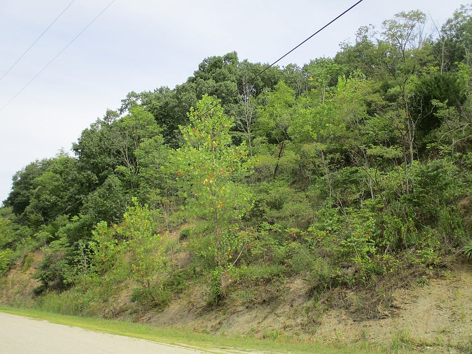2nd image of 1260 Musselman Station Rd