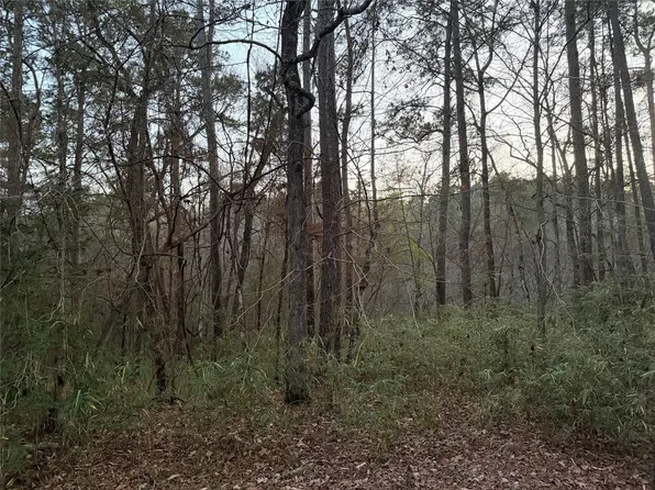 94 Green Tree Dr, Coldspring, TX 77331