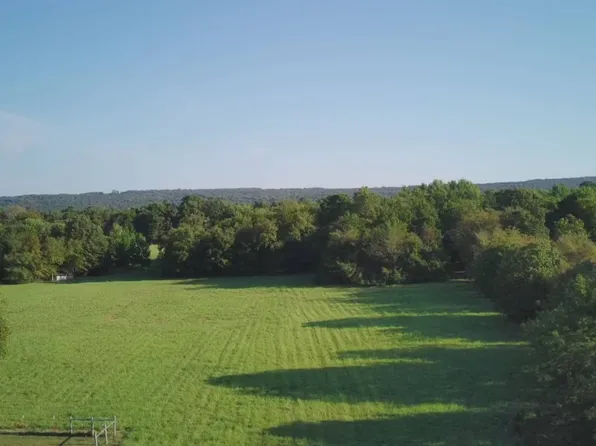 2962 Low Gap Rd, Ozark, AR 72949