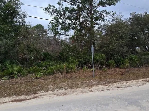 NE 35th Avenue Rd Lot 23, Citra, FL 32113