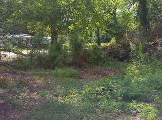 425 N Jones Rd, Olanta, SC 29114