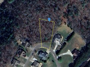 62 Lindsey Ln, Blue Ridge, GA 30513