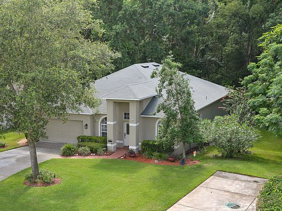 Conservation back and side!