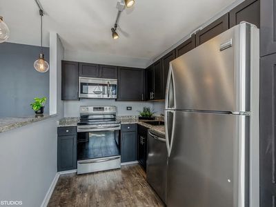 655 W Irving Park Rd APT 2415, Chicago, IL, 60613