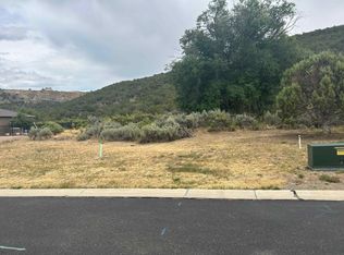 805 SE Pine St, Cedaredge, CO 81413