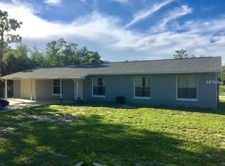 470 Collins Rd, Osteen, FL 32764