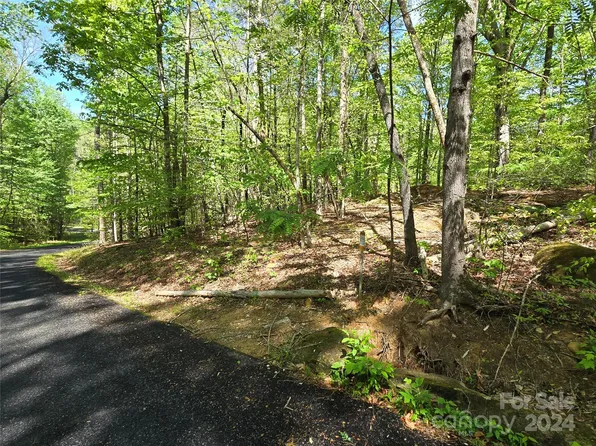 0 Red Wing Rd #145 & 147, Lake Lure, NC 28746
