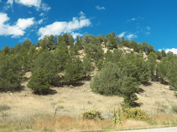 County Road 43.7, Aguilar, CO 81020