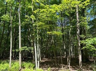 0 Devita Rd, Branchville, NJ 07826