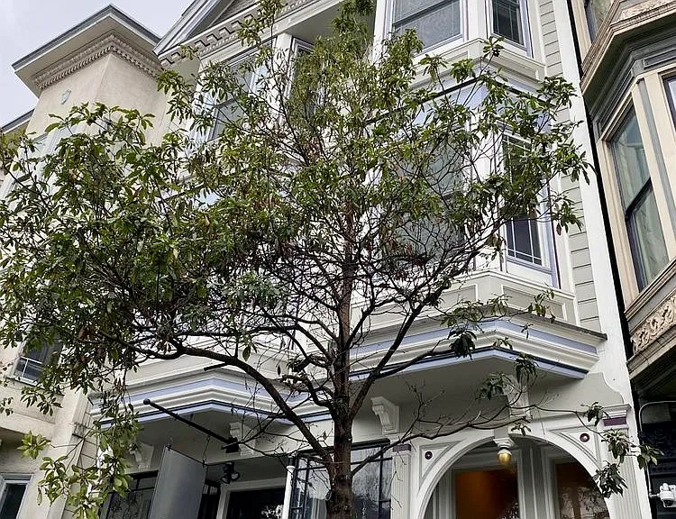 291 Divisadero St #291 — Photo 12