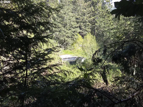 96113 Euchre Creek Rd, Gold Beach, OR 97444