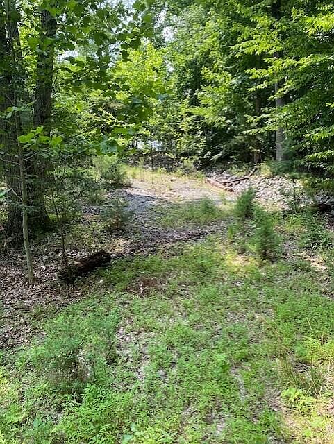 1st image of 141 Oak Dr