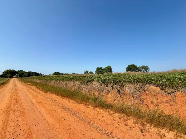 Hollis Dairy Rd Lot 2, Newton, AL 36352