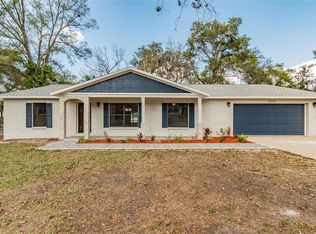 11515 River Country Dr, Riverview, FL 33569