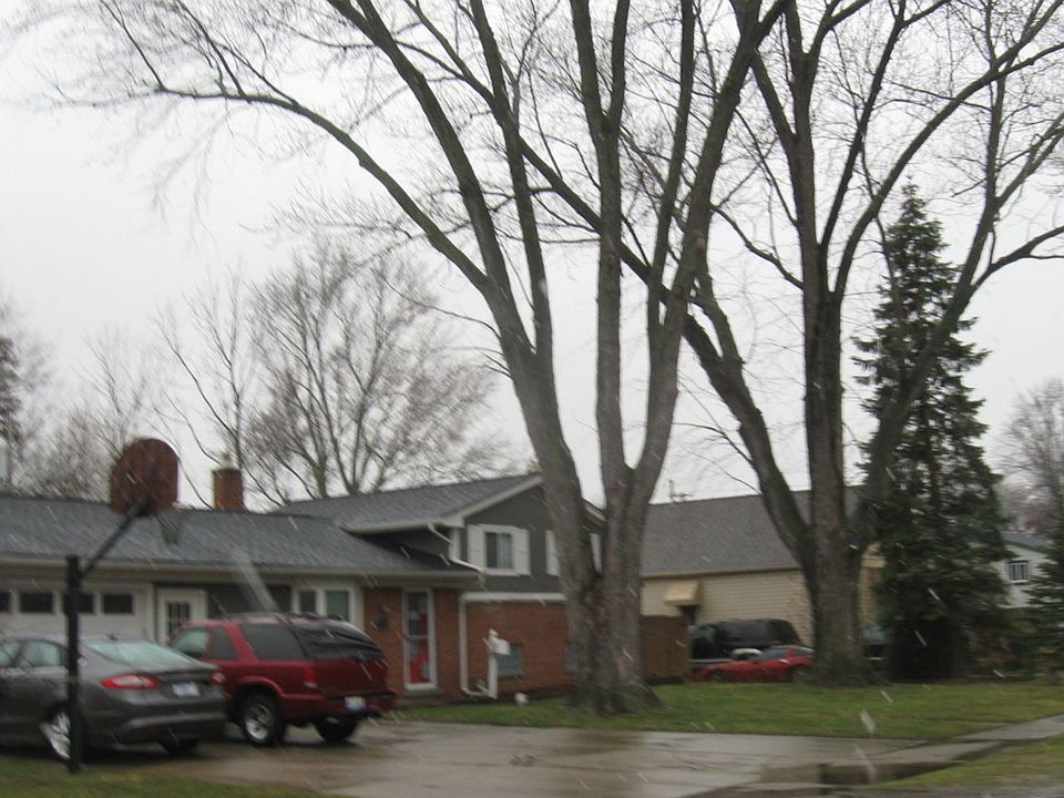 2nd image of 31523 Pierce St