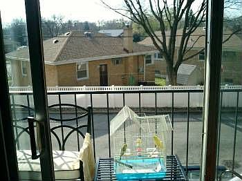 4th image of 4838 Howard St APT 209
