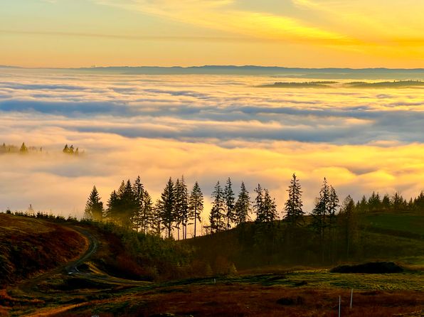 (undisclosed Address)