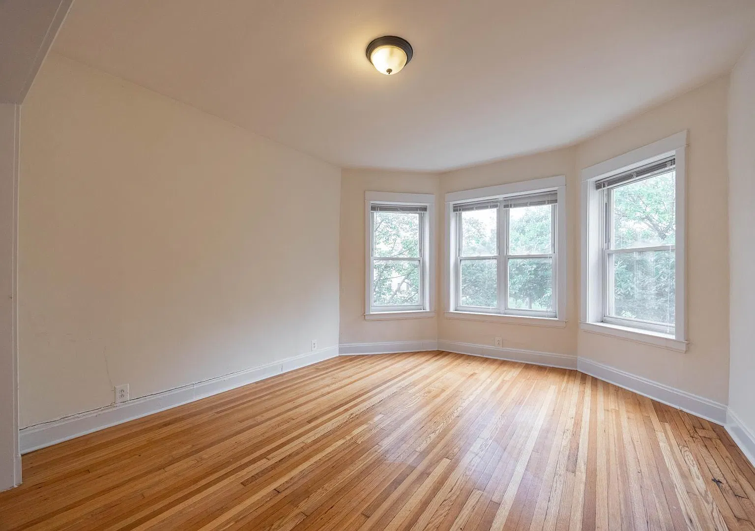 3 bed, 1200 sqft, $2,595 — Photo 3