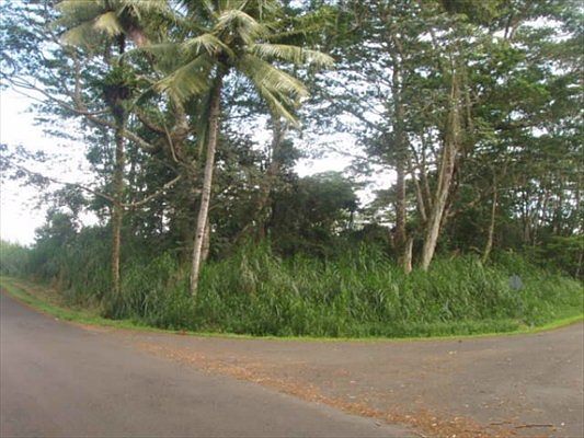 1st image of Kahukai St