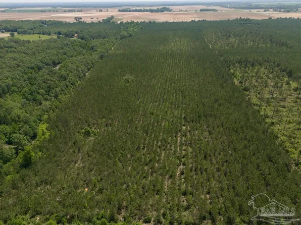 2 Bud Diamond Rd, Jay, FL 32565