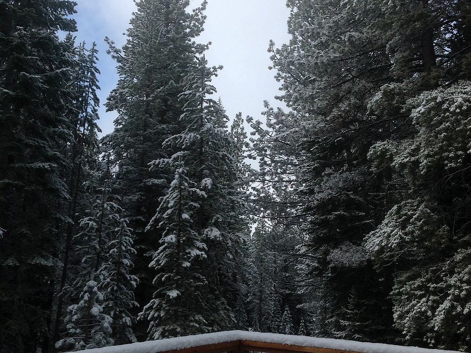 View from back deck