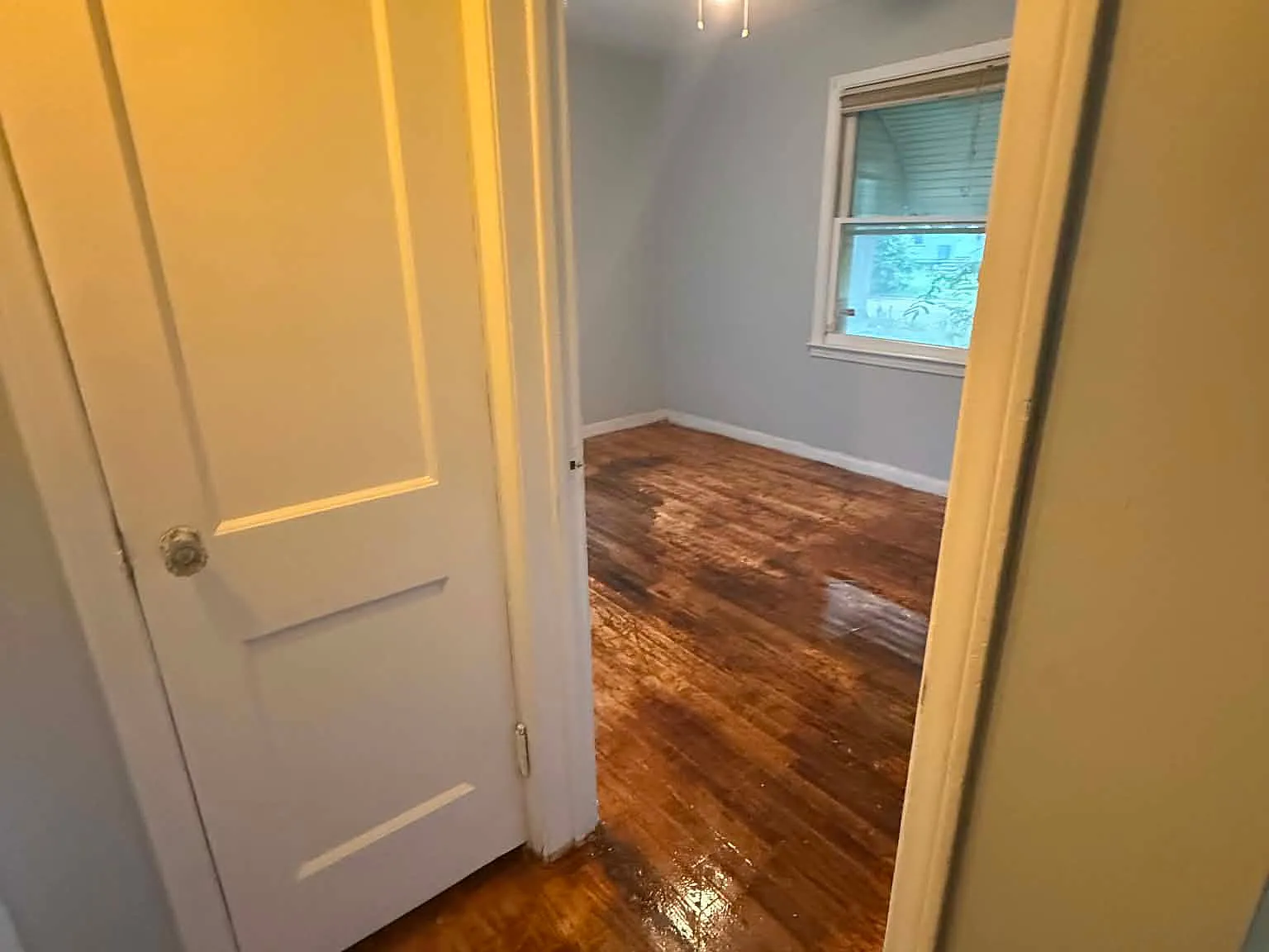 2 bed, 696 sqft, $950 — Photo 2