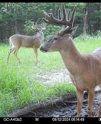 2nd image of 890 South Independence Road