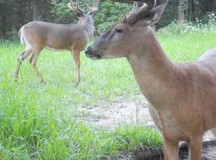 890 South Independence Road, Independence, WI 54747