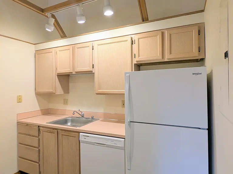 209 Kitchen with dishwasher, garbage disposal, and high vaulted ceilings