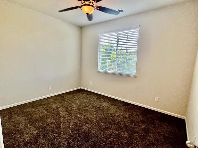 3913 Purple Finch Ln — Photo 25