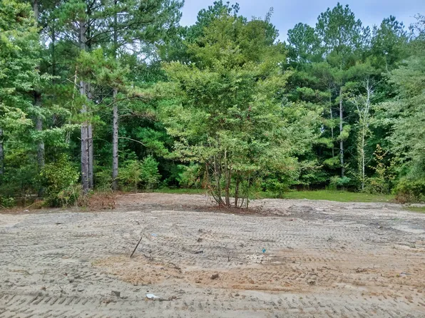 Gulledge Ln, Patrick, SC 29584