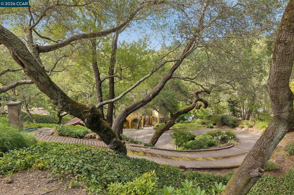 124 Camino Sobrante 2