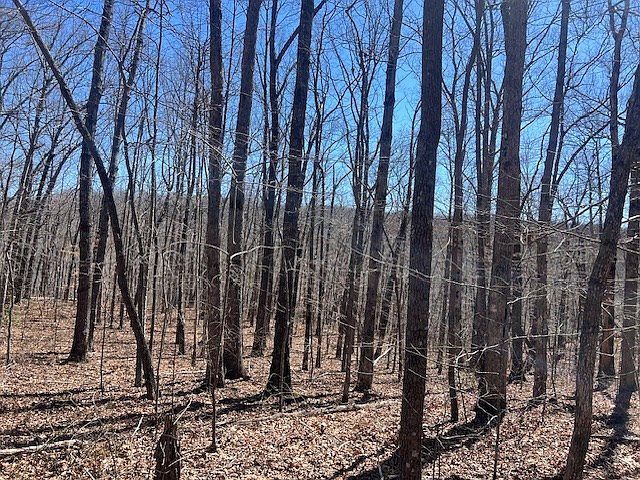 2nd image of LOT 40 Pioneer Trail Ln