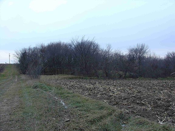 Some tillable acres.  Mature trees.