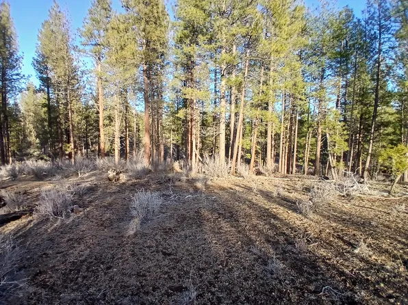 Elde Street Block Lot 32-3, Chiloquin, OR 97624