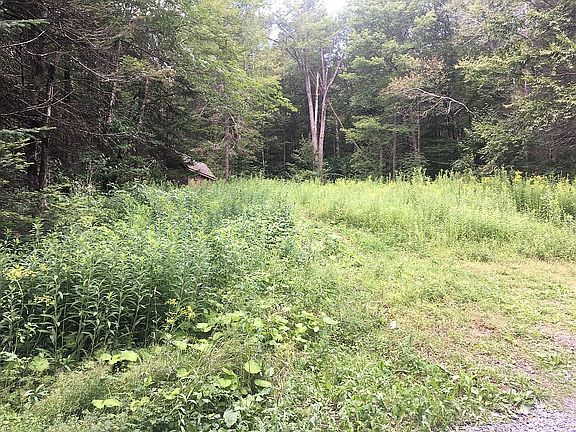 3rd image of 193 Evergreen Ln